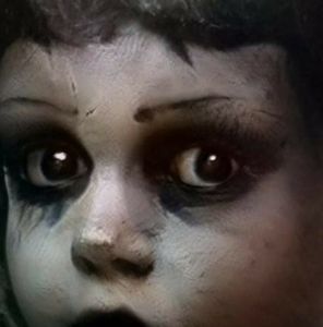 Meet your Posher, Debra